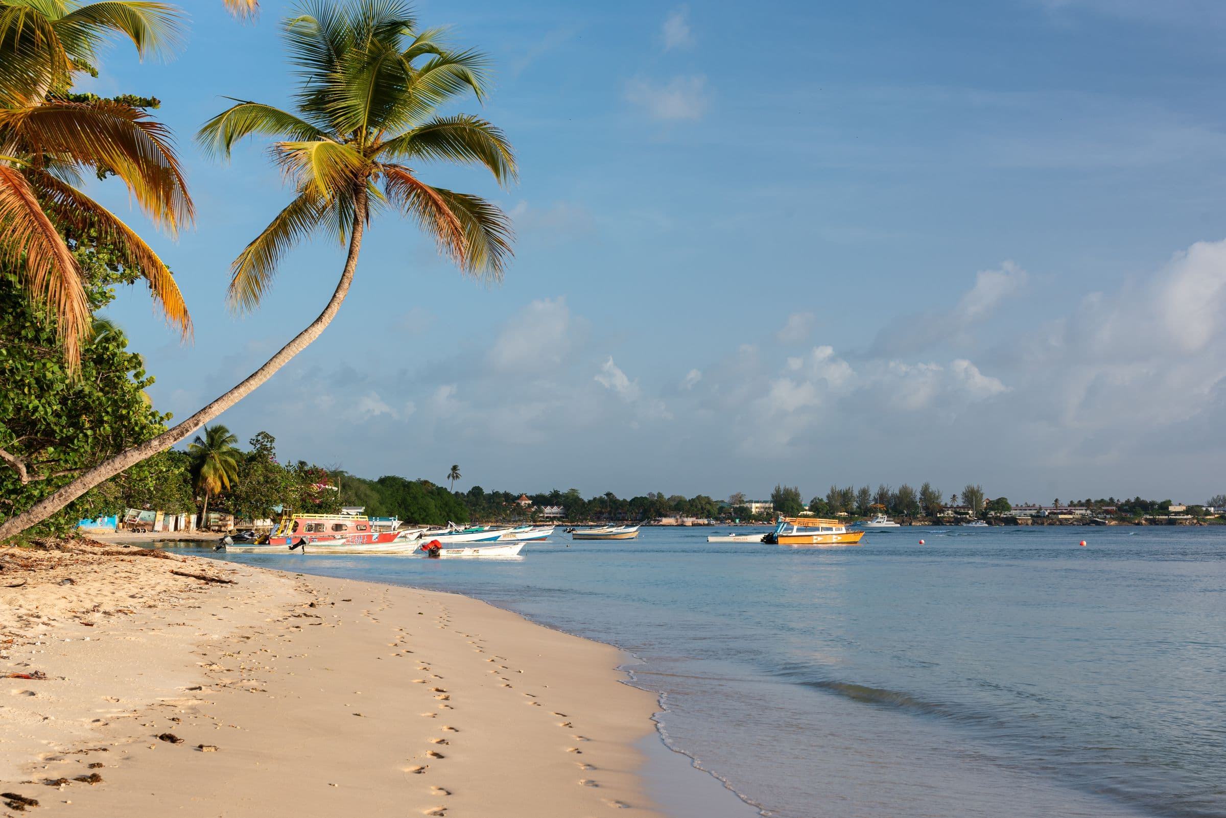 Palm trees leaning over the sand at Pigeon Point, Tobago, with boats offshore
