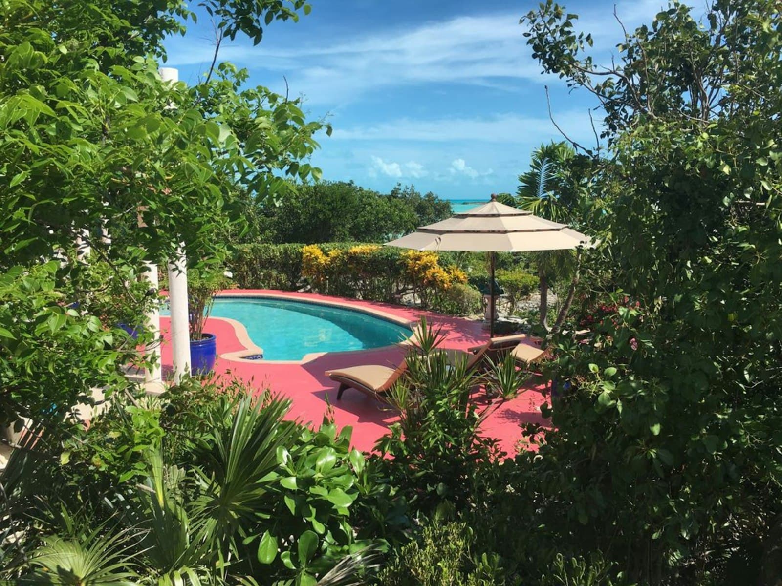 Illustrative image: tropical garden surrounding a pool
